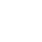 DDReps Logo